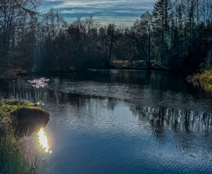Angelstelle in Rosenfors